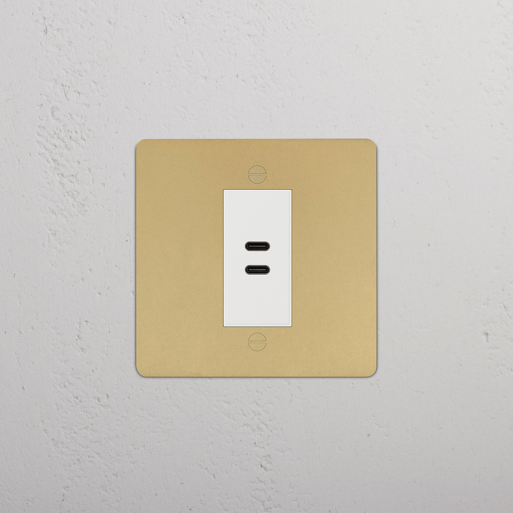 Single USB-C+C Socket - Antique Brass | White