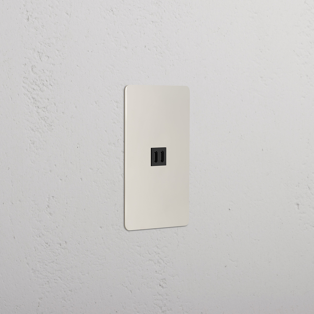 Kew 1G Fast Charge 45W USB Keystone - Polished Nickel Black