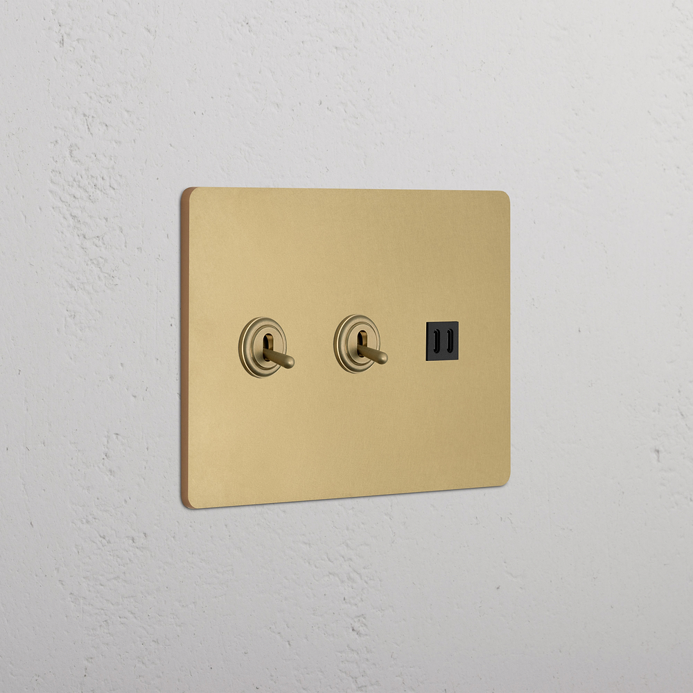 Grove 3G 2x Toggle Switch & Fast Charge USB - Antique Brass Black