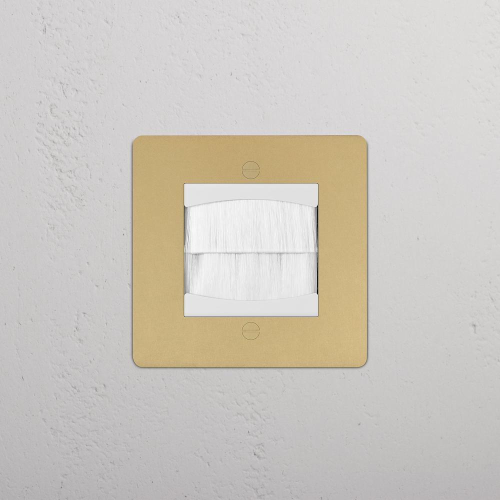 Single Brush Plate - Antique Brass | White