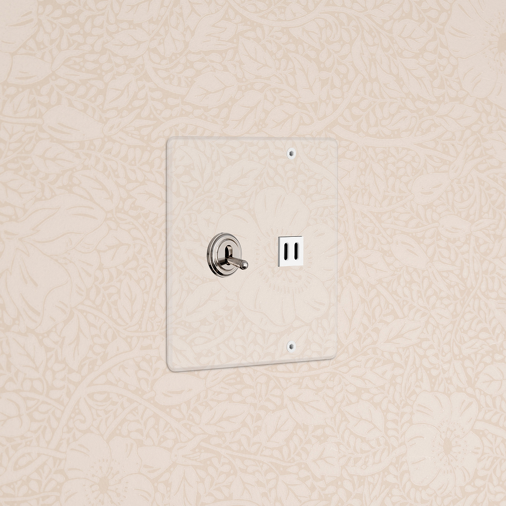 Kew 2G Toggle Switch & Fast Charge USB - Clear Polished Nickel White