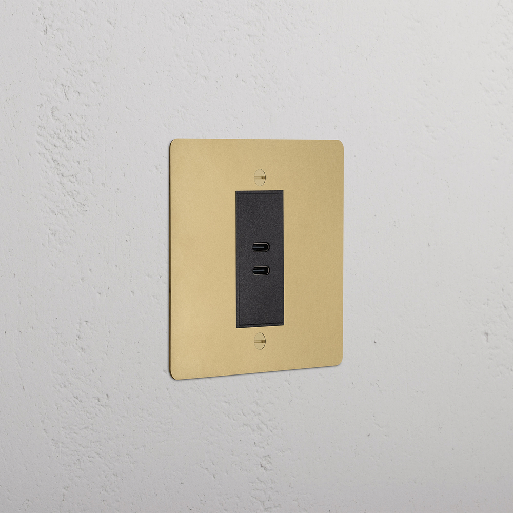 Single USB-C+C Socket - Antique Brass | Black