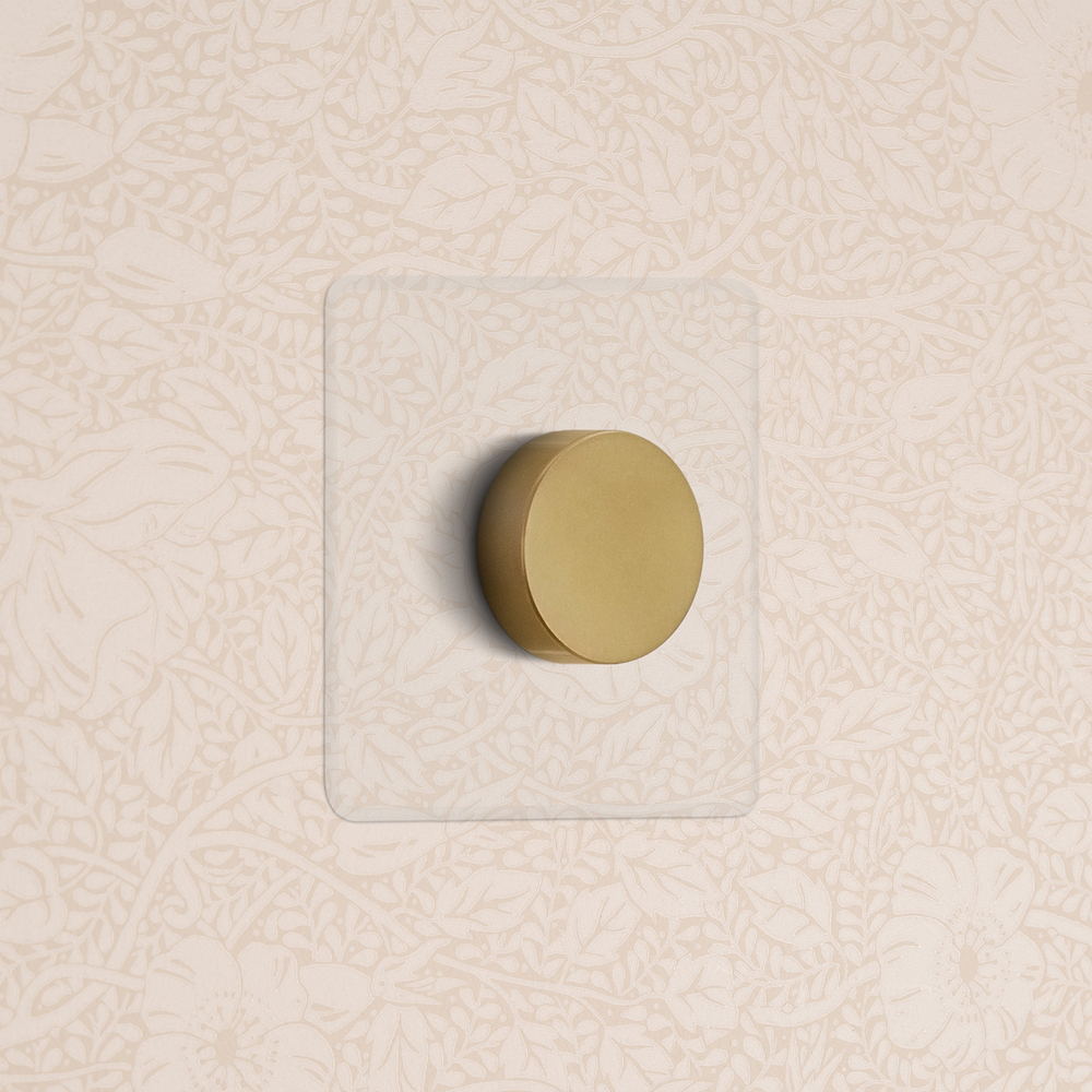 Kew Dimmer Multidirezionale Singolo – Ottone Antico Trasparente