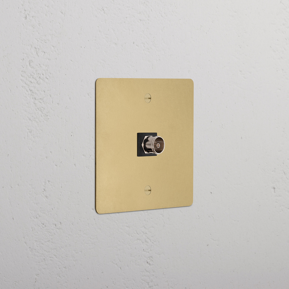 Single TV Socket - Antique Brass | Black