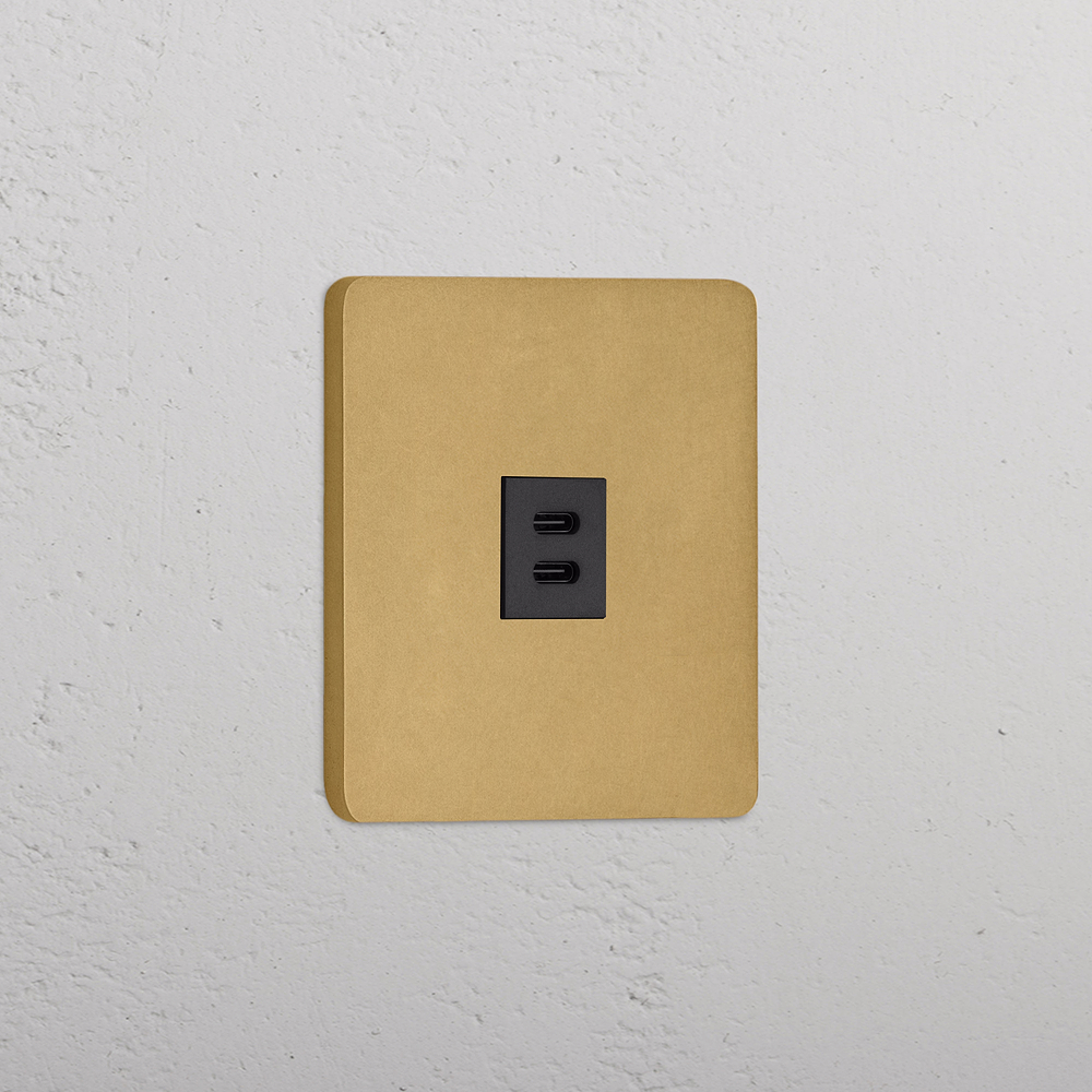 Grove Single USB-C 30W Socket - Antique Brass | Black