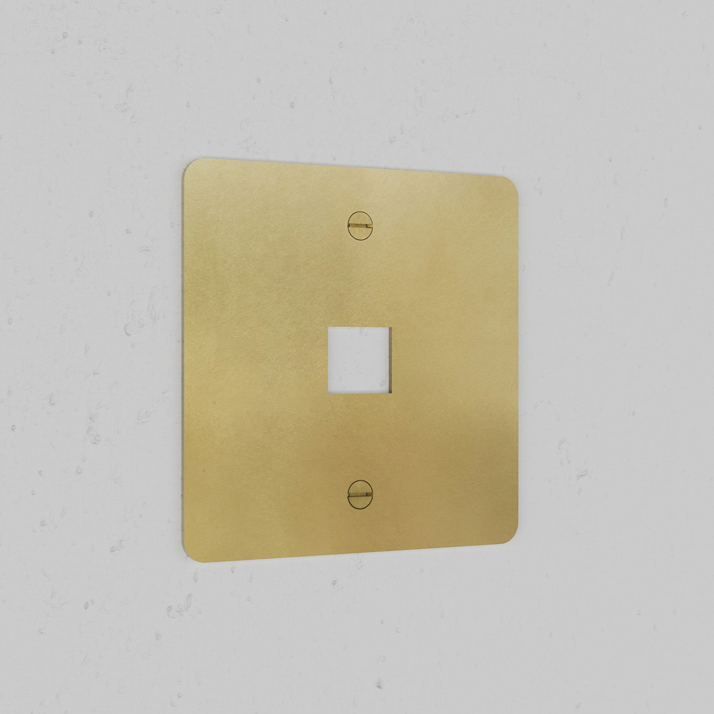 Single 1x Keystone Plate - Antique Brass