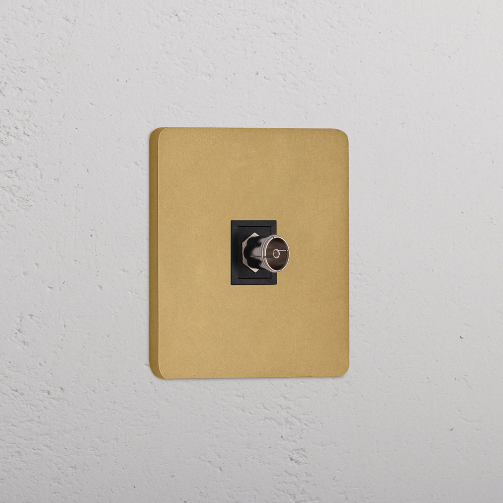 Grove Single TV Socket - Antique Brass | Black