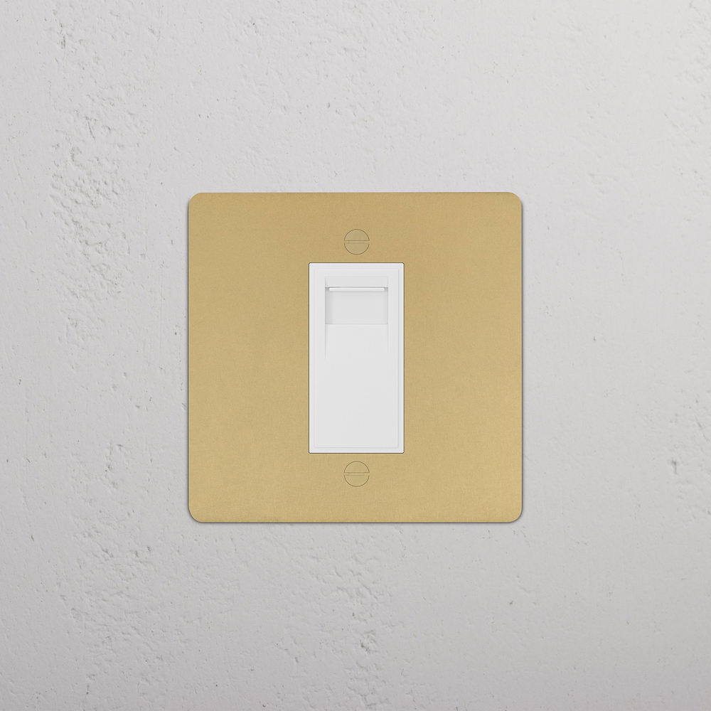 Single BT Master Socket - Antique Brass | White