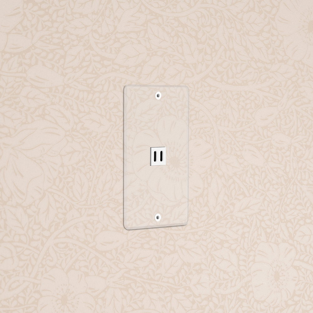 Kew 1G Fast Charge 65W USB Keystone - Clear White