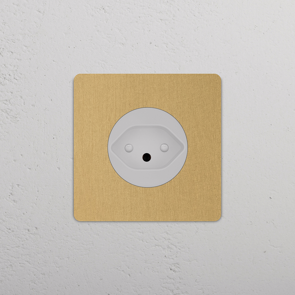 Grove Single Swiss Type J Socket - Antique Brass | White