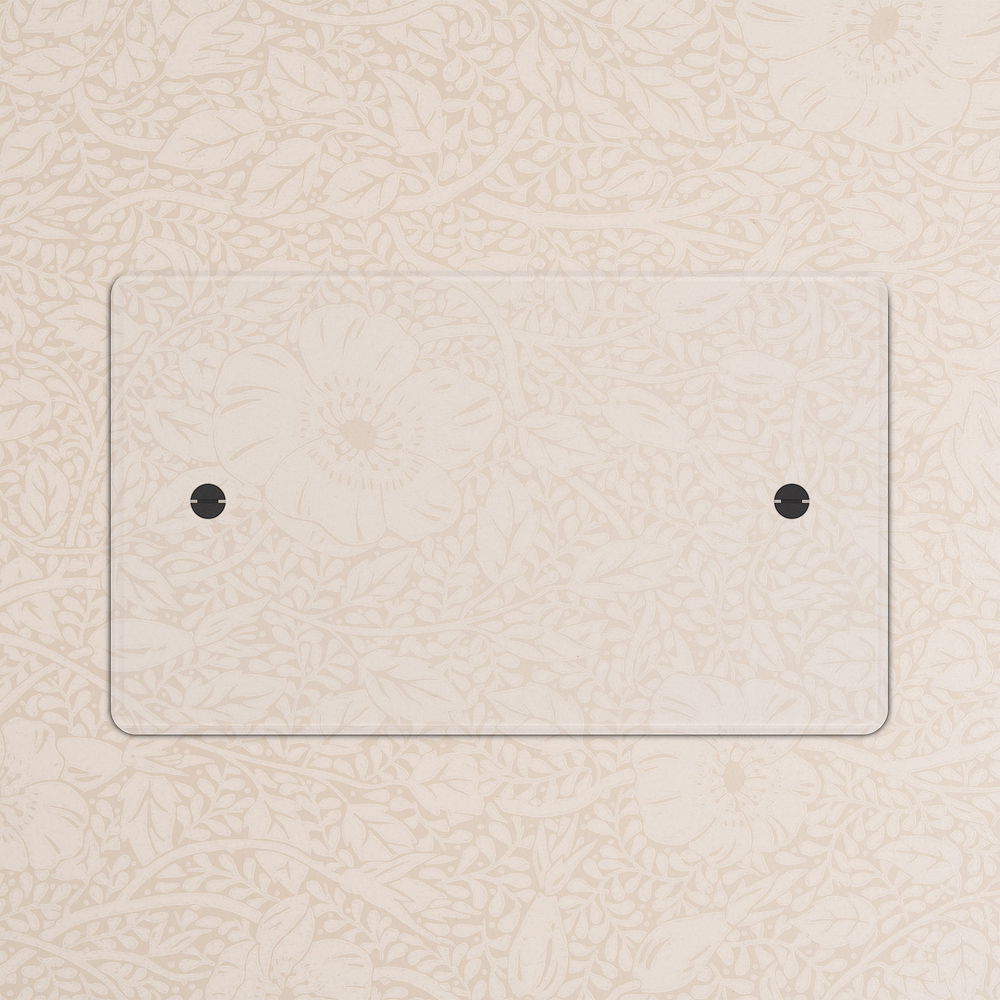 Double Blank Plate - Clear | Black