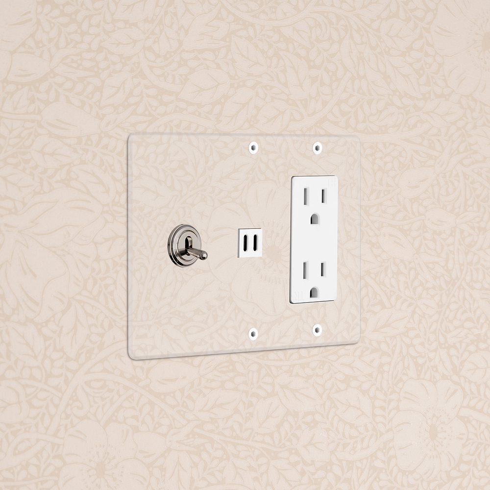 Kew 3G Toggle Switch & Outlet & Fast Charge USB - Clear Polished Nickel White