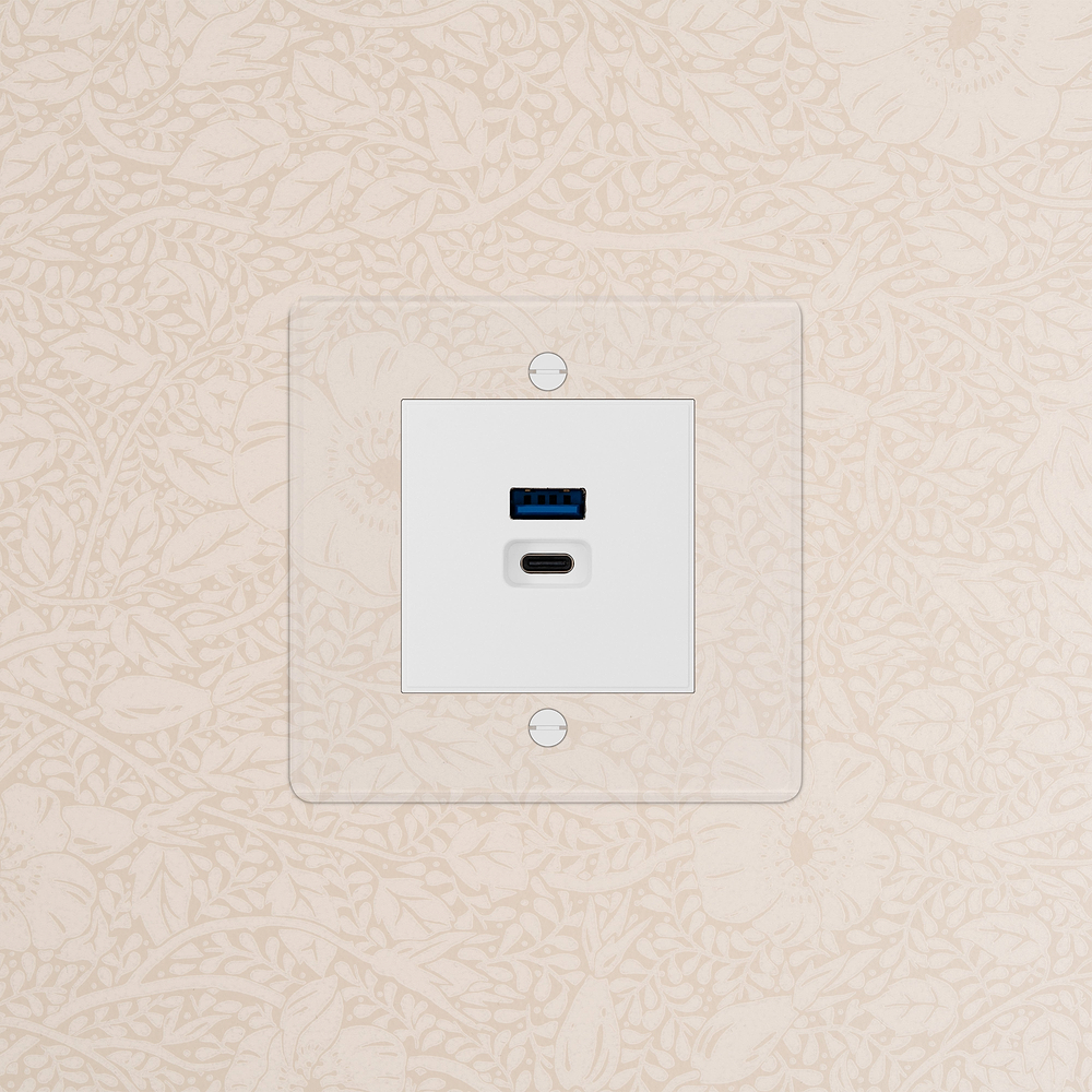 Single USB-A+C Fast Charge Socket - Clear | White
