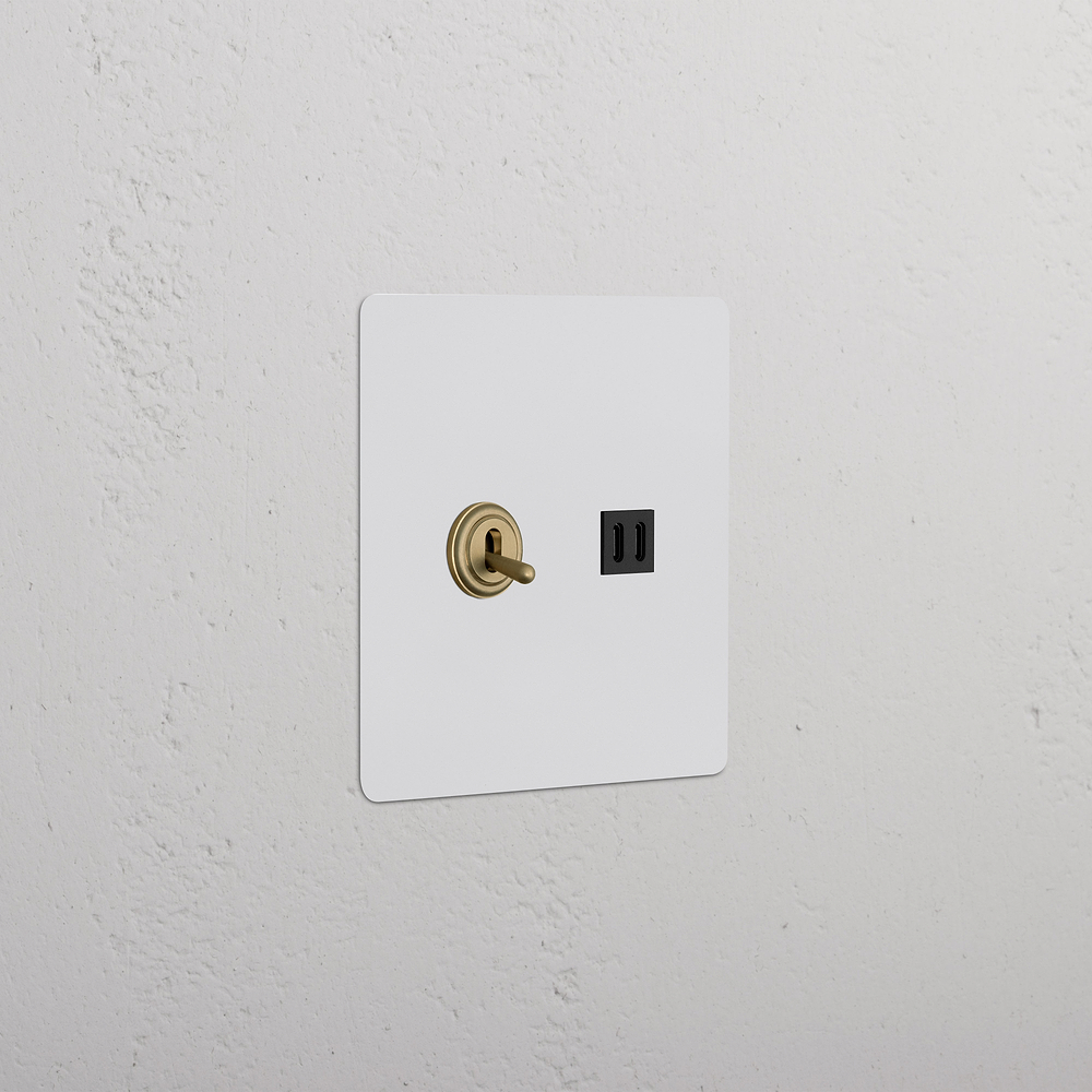 Kew 2G Toggle Switch & Fast Charge USB - Paintable Antique Brass Black