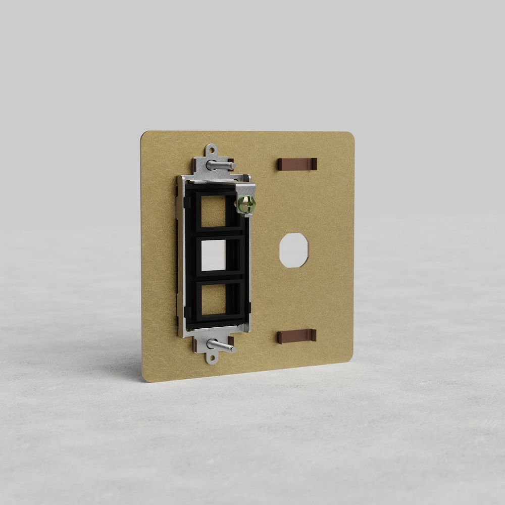 Kew 2G Switch & Keystone Plate - Antique Brass
