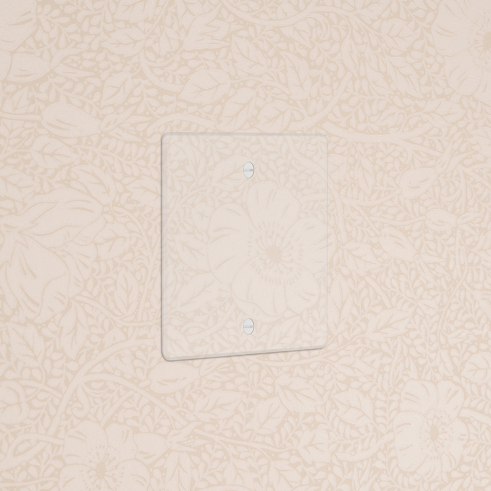 Single Blank Plate - Clear | White
