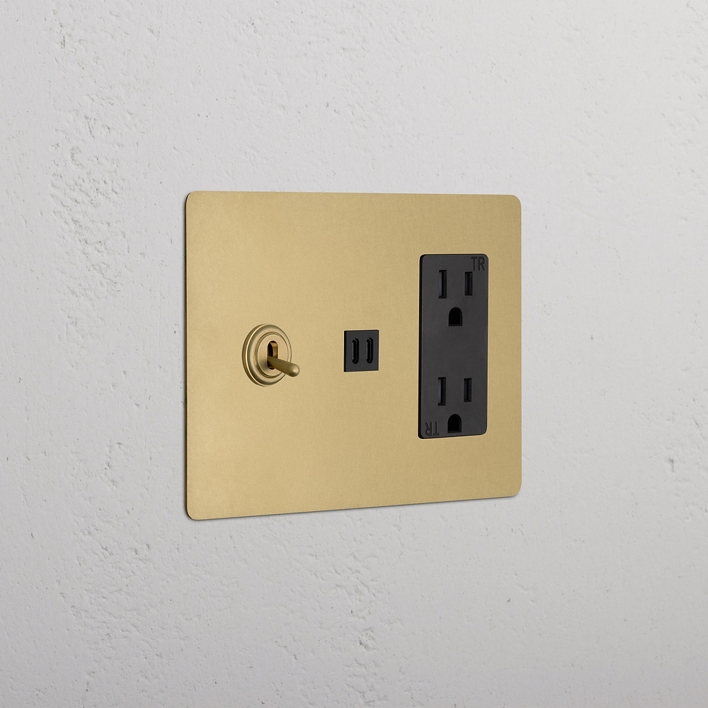 Kew 3G Toggle Switch & Outlet & Fast Charge USB - Antique Brass Black