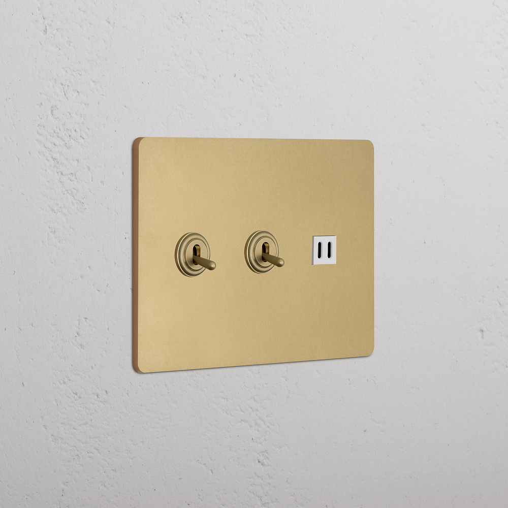 Grove 3G 2x Toggle Switch & Fast Charge USB - Antique Brass White
