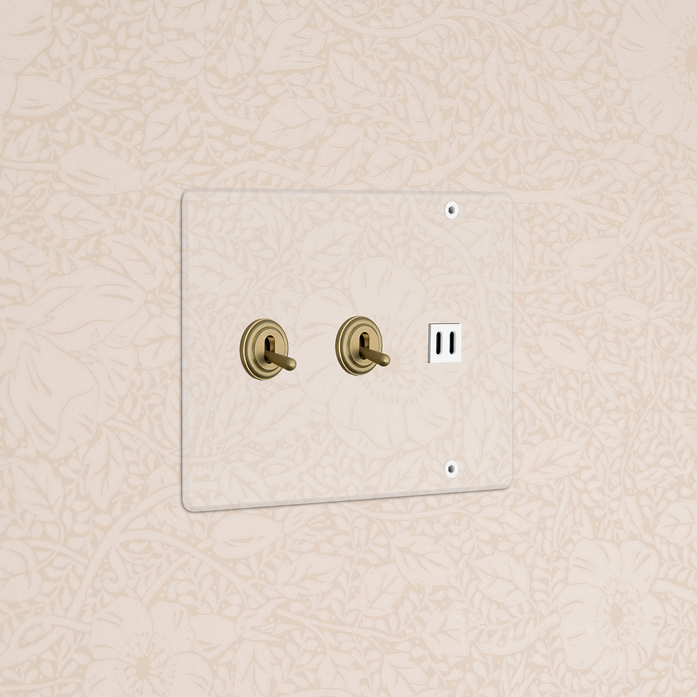 Kew 3G 2x Toggle Switch & Fast Charge USB - Clear Antique Brass White