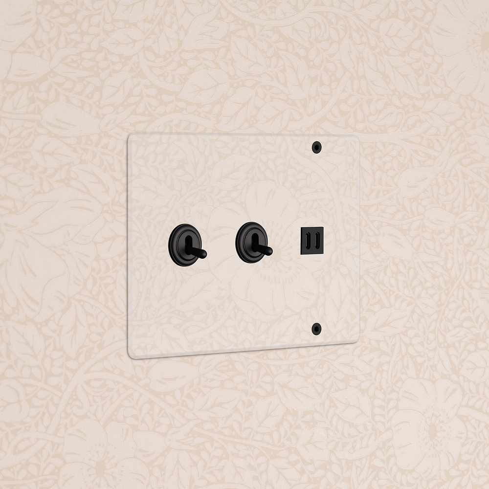 Kew 3G 2x Toggle Switch & Fast Charge USB - Clear Bronze Black
