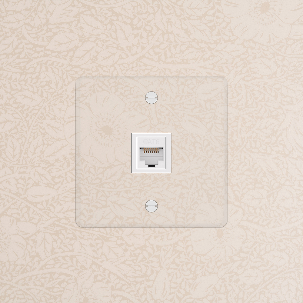 Kew Prise RJ45 (Plaque Simple) – Transparence | Blanc