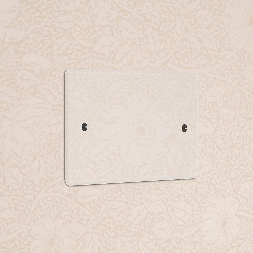 Double Blank Plate - Clear | Black
