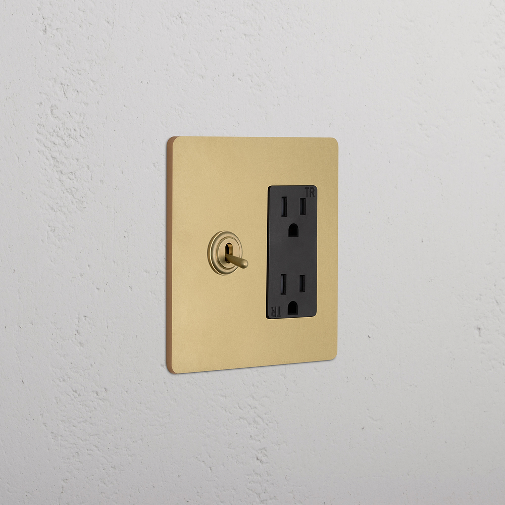 Grove 2G Toggle Switch & Outlet - Antique Brass Black