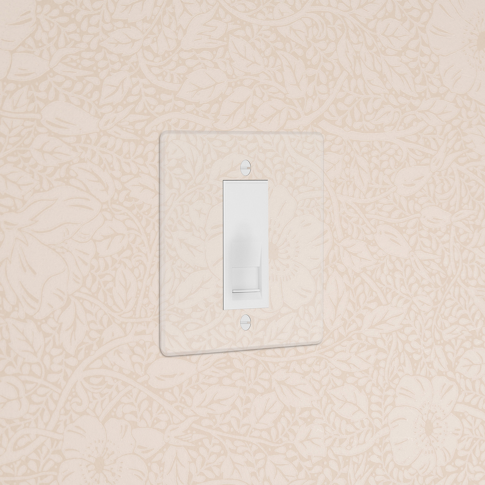 Single BT Slave Socket - Clear | White