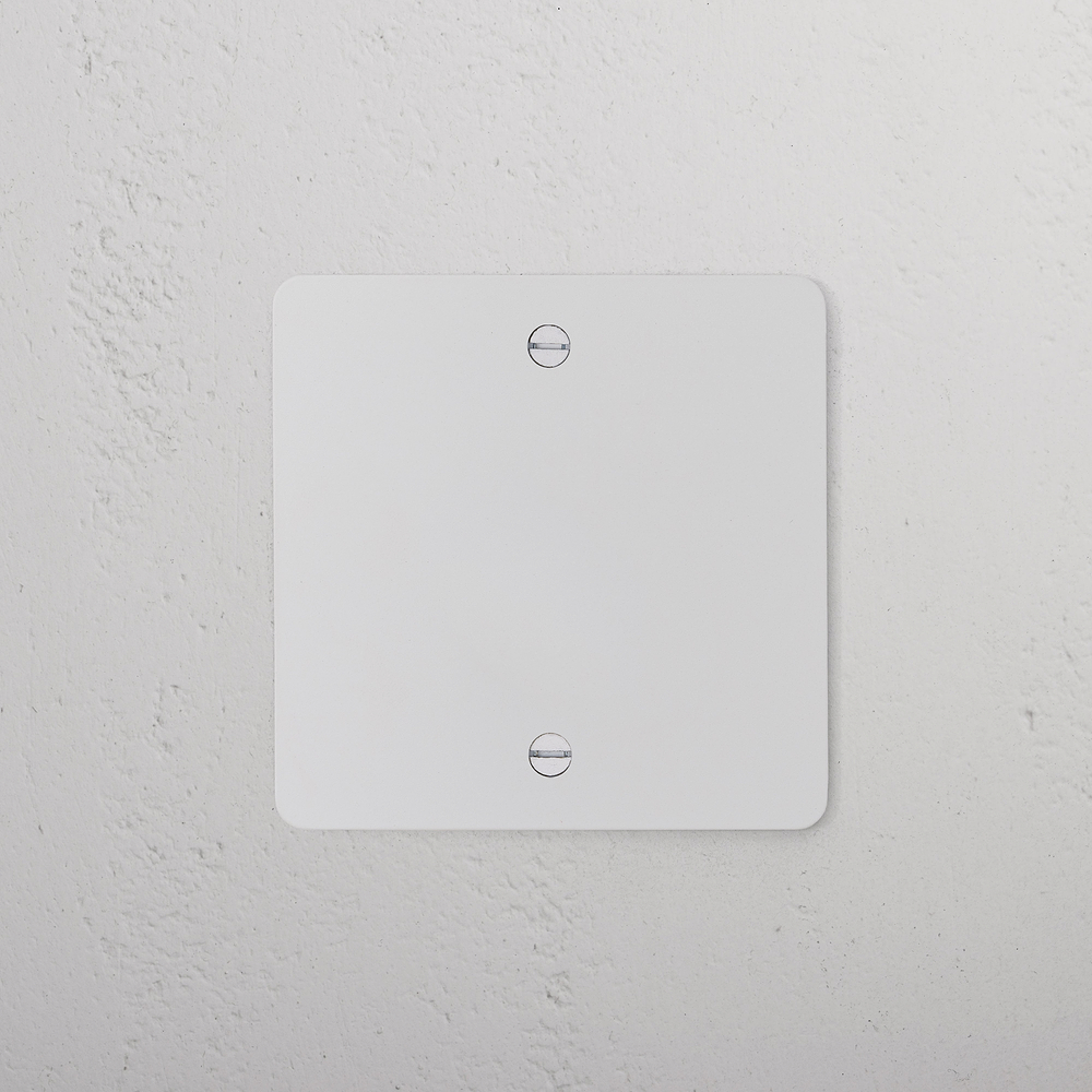 Single Blank Plate - Paintable