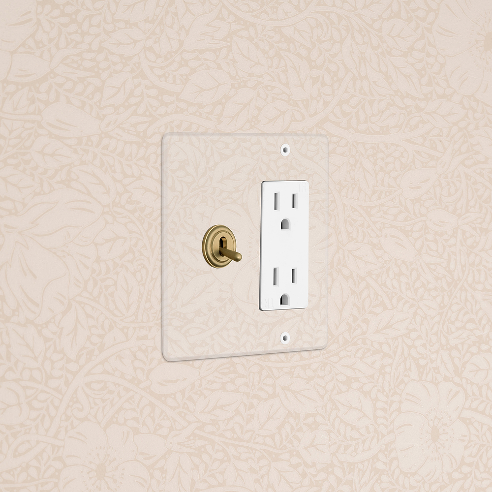 Kew 2G Toggle Switch & Outlet - Clear Antique Brass White