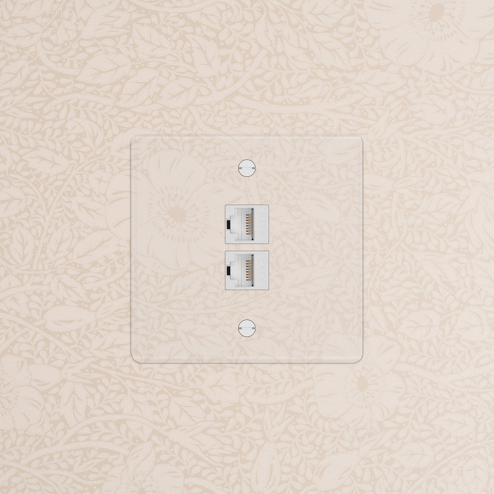 Single 2x CAT6 - Clear | White