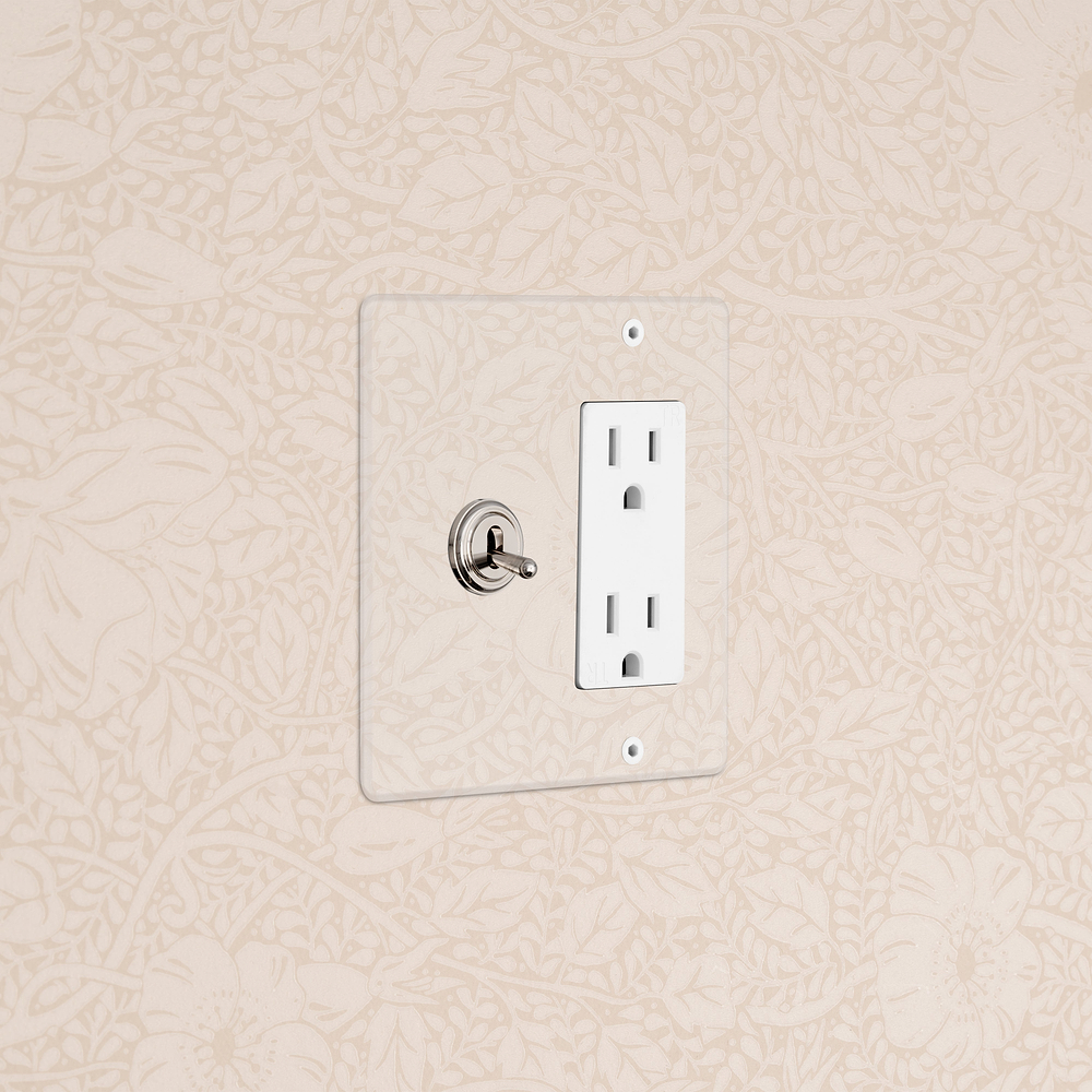Kew 2G Toggle Switch & Outlet - Clear Polished Nickel White