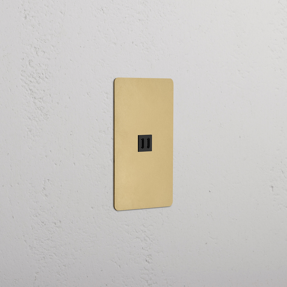 Kew 1G Fast Charge 45W USB Keystone - Antique Brass Black