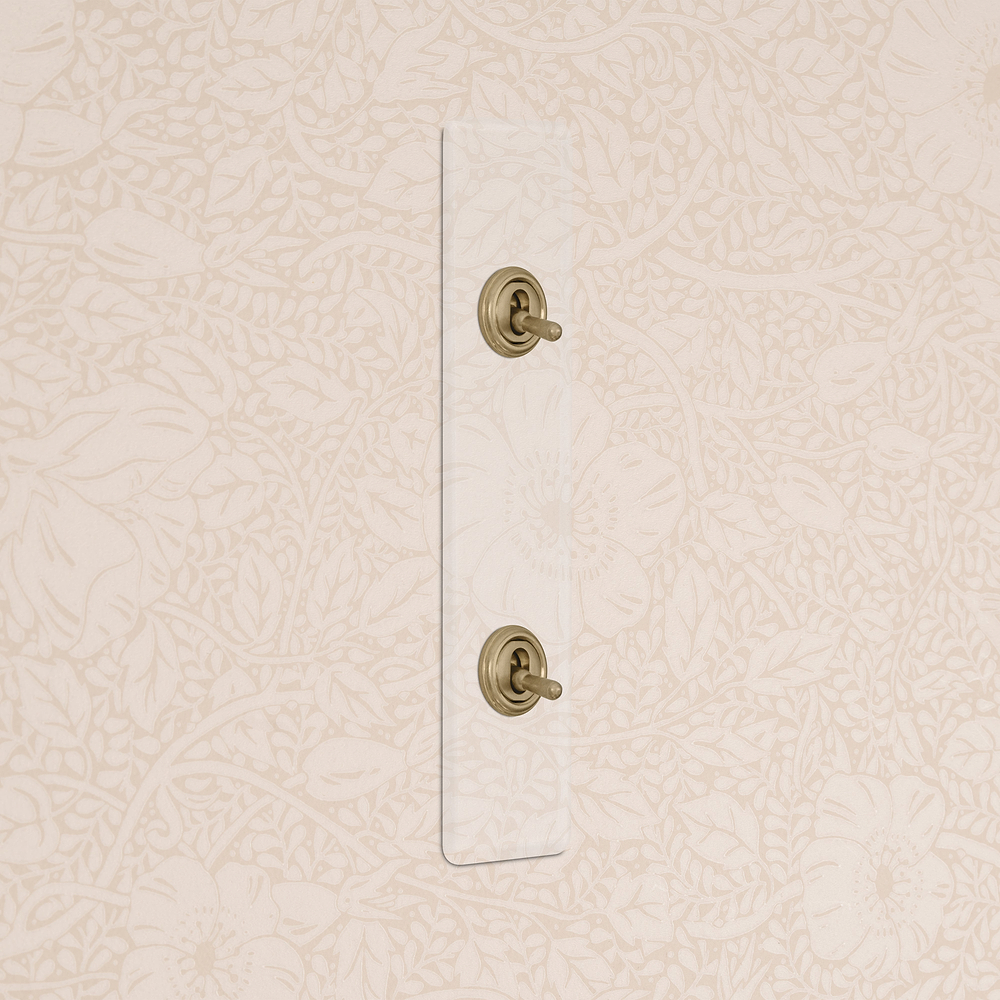 2G Architrave Two Way Toggle Switch - Clear Antique Brass  