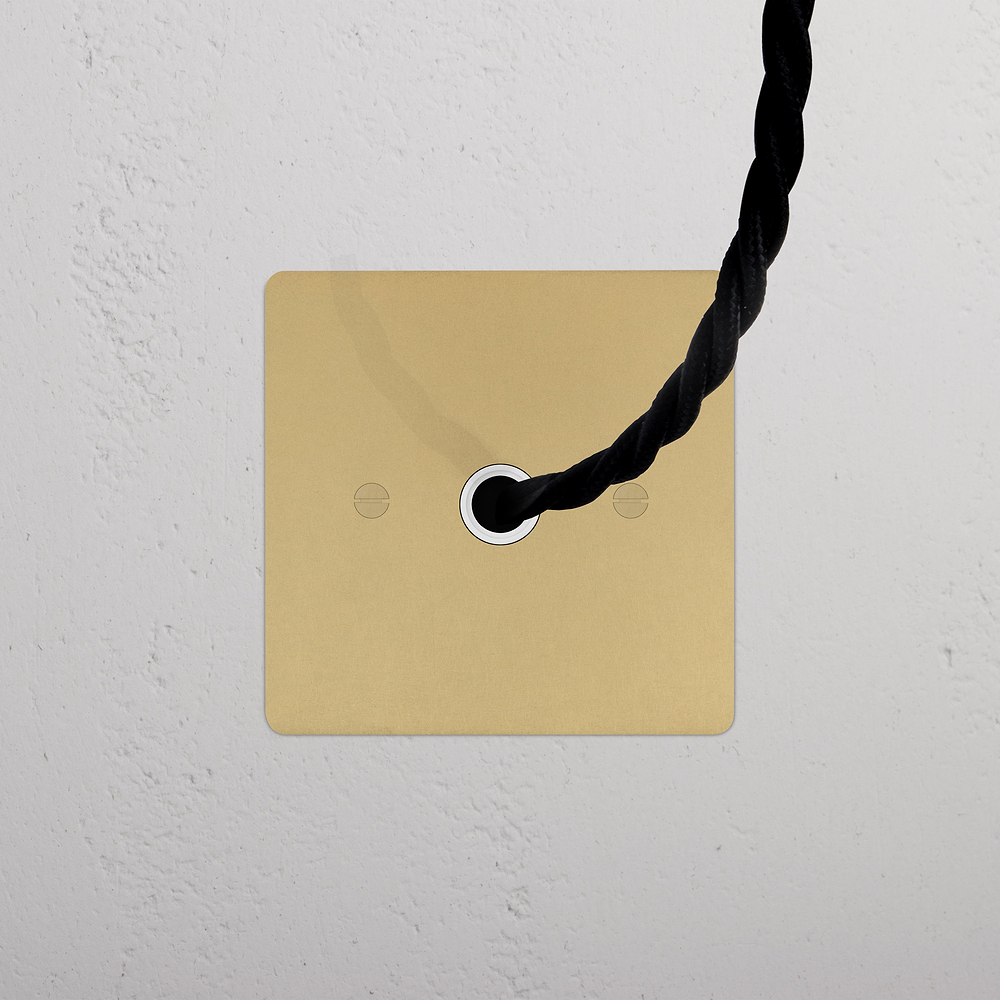Single Flex Outlet - Antique Brass | White