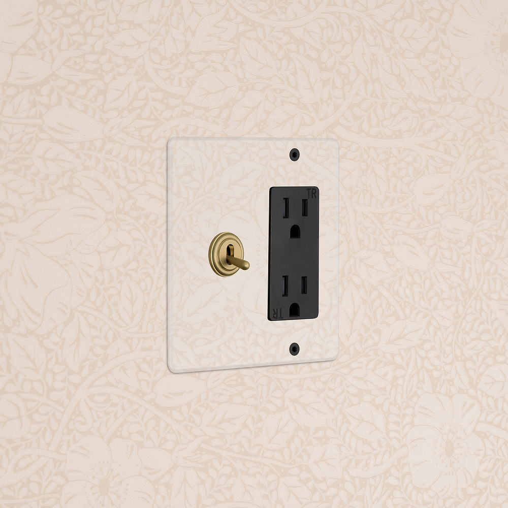 Kew 2G Toggle Switch & Outlet - Clear Antique Brass Black