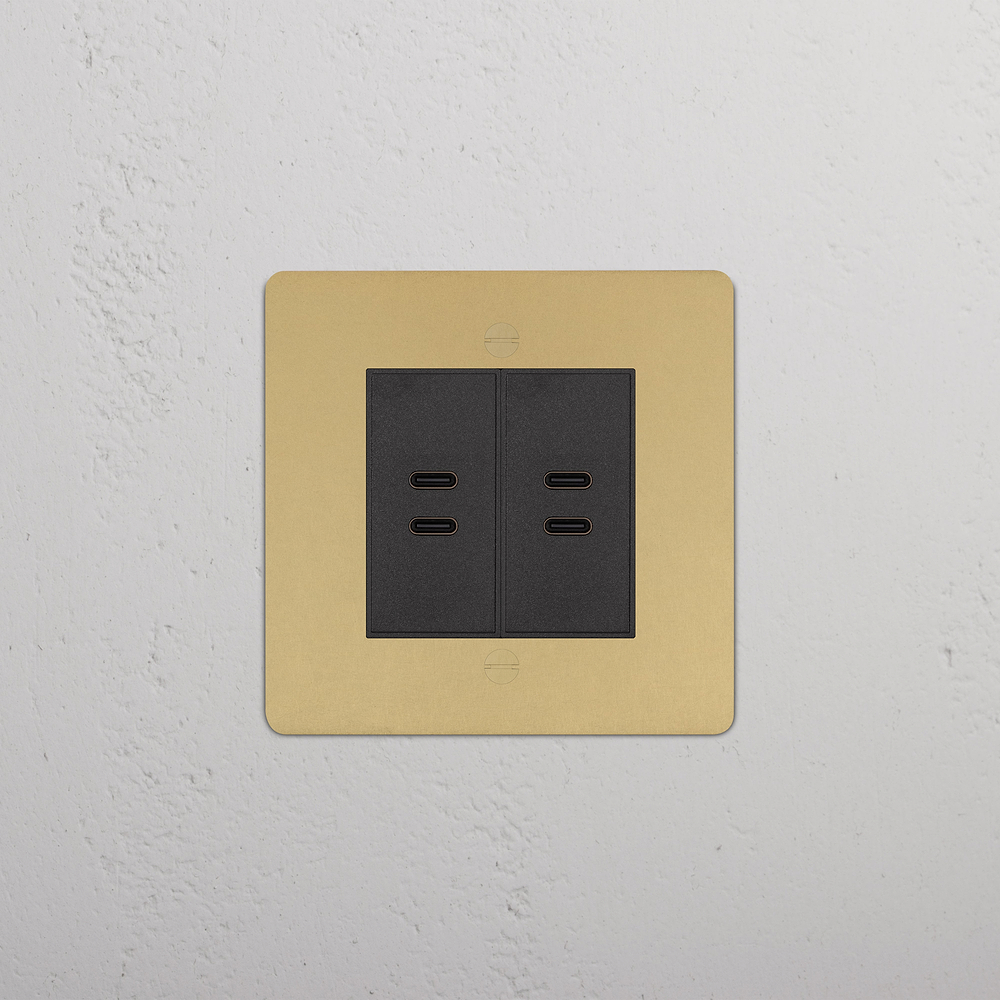 Single 2x USB-C+C Socket - Antique Brass | Black