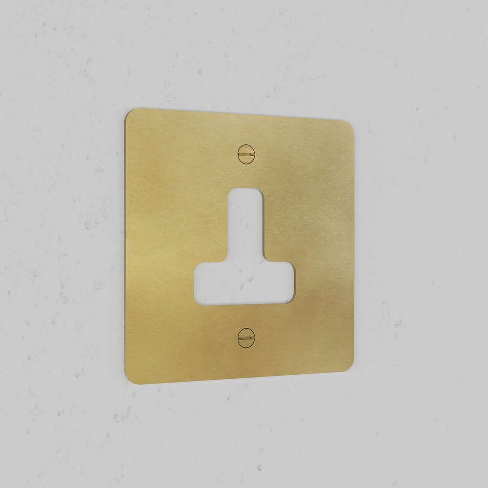 Single Unswitched Socket Plate - Antique Brass
