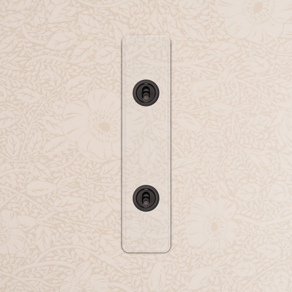2G Architrave Two Way Toggle Switch - Clear Bronze 