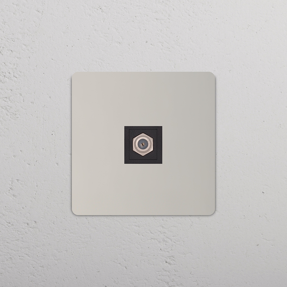 Grove Single Satellite Socket - Polished Nickel | Black