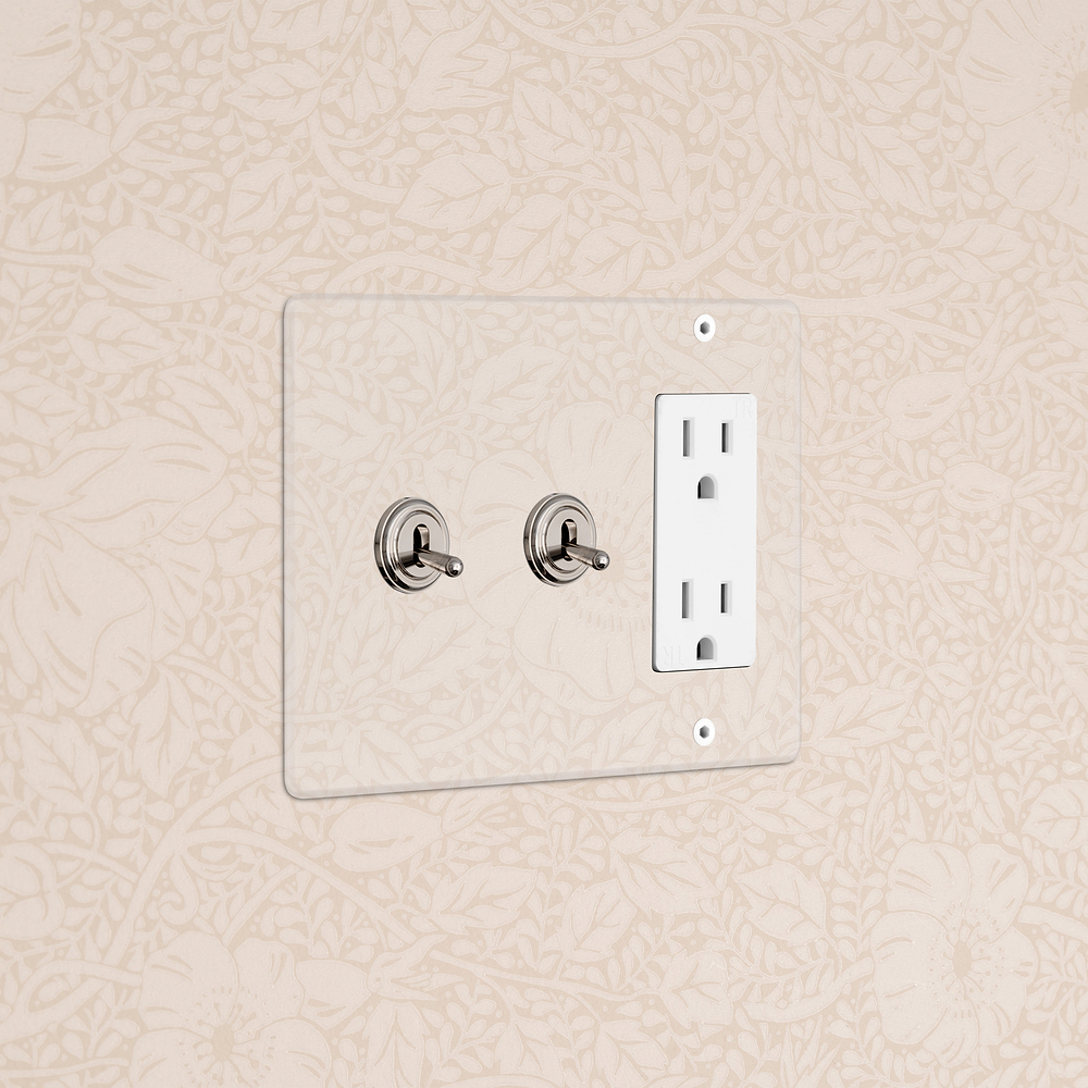 Kew 3G 2x Toggle Switch & Outlet - Clear Polished Nickel White