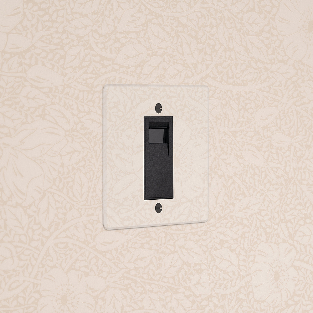 Single BT Master Socket - Clear | Black