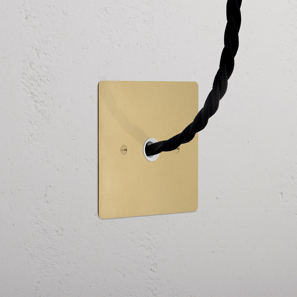 Single Flex Outlet - Antique Brass | White