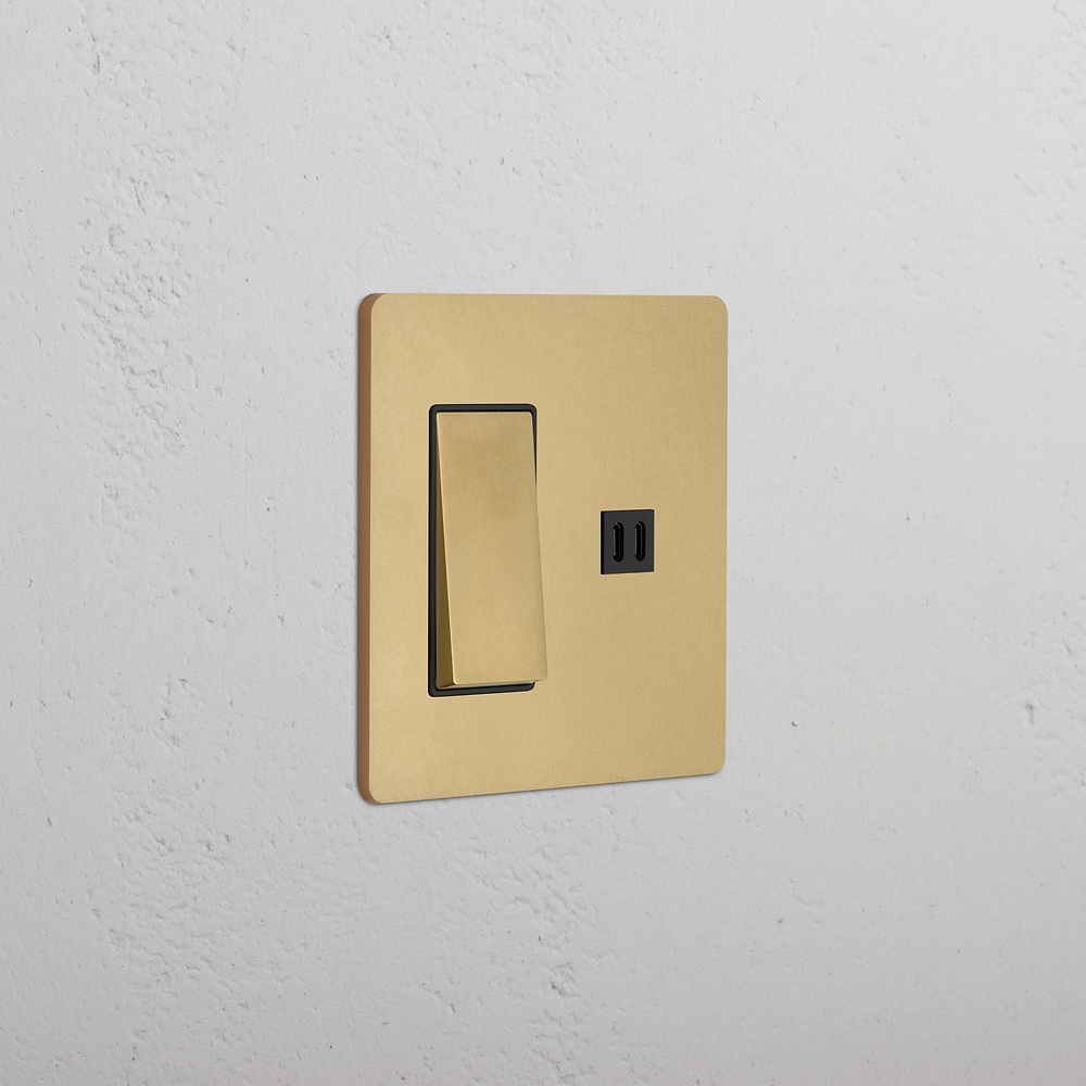 Grove 2G Rocker Switch & Fast Charge USB - Antique Brass Black