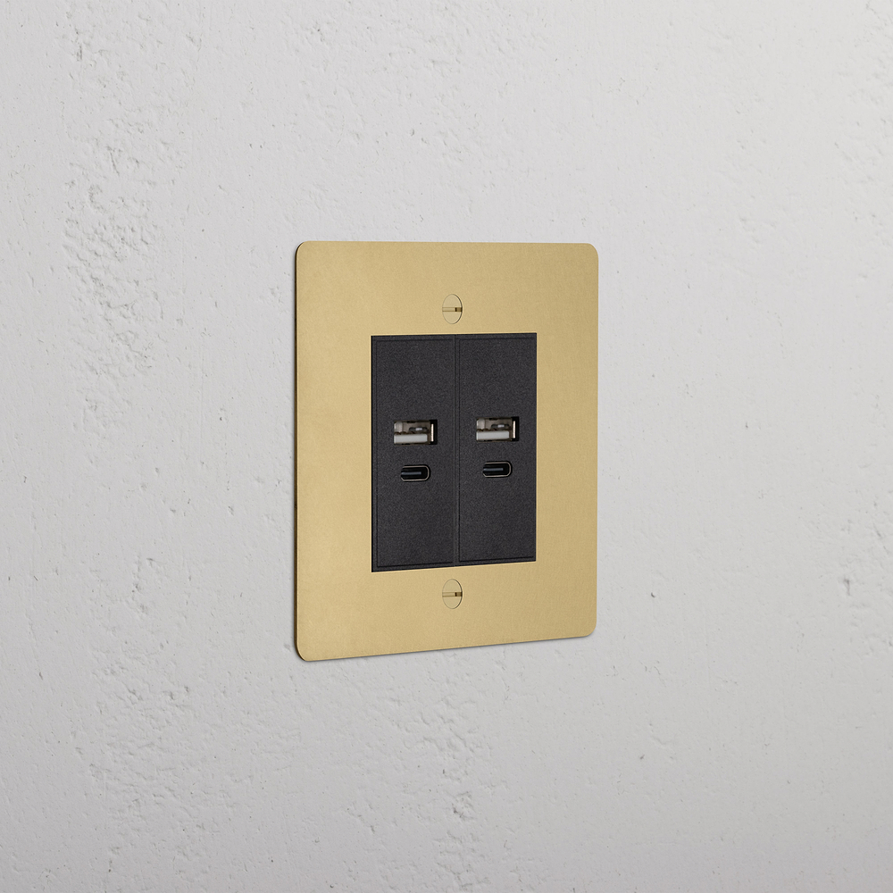 Single 2x USB-A+C Socket - Antique Brass | Black