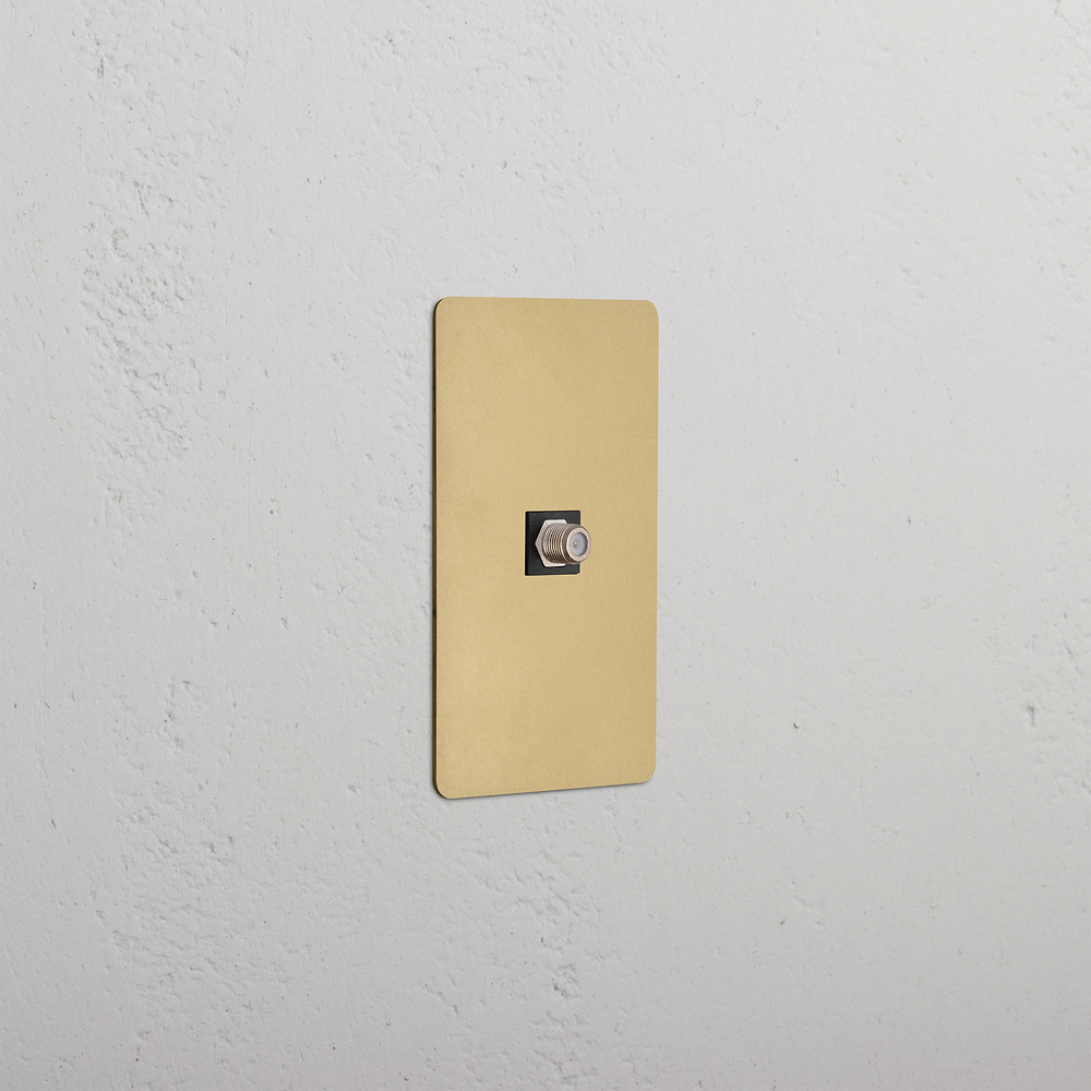 Kew 1G Satellite Keystone - Antique Brass Black