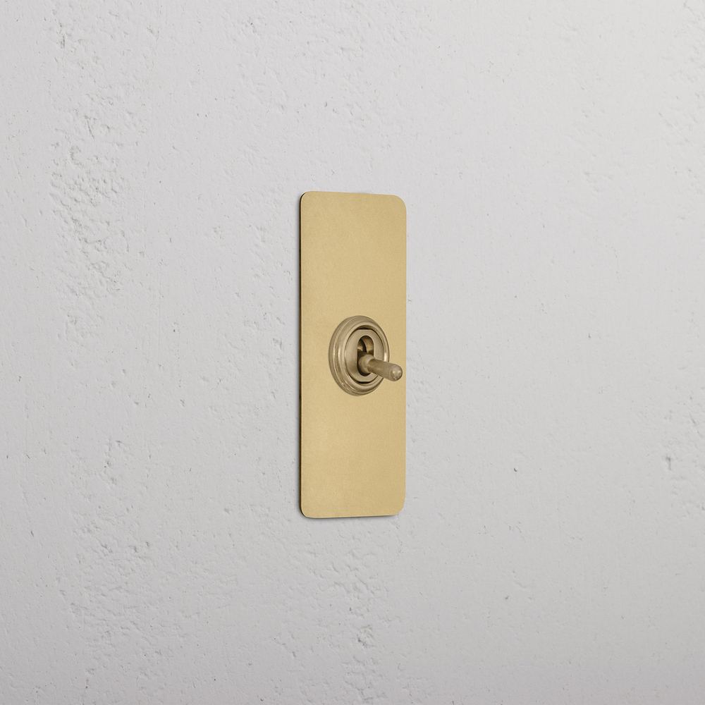 1G Architrave Double Pole Toggle Switch - Antique Brass