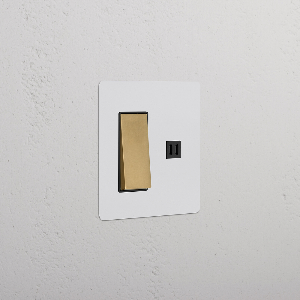 Kew 2G Rocker Switch & Fast Charge USB - Paintable Antique Brass Black