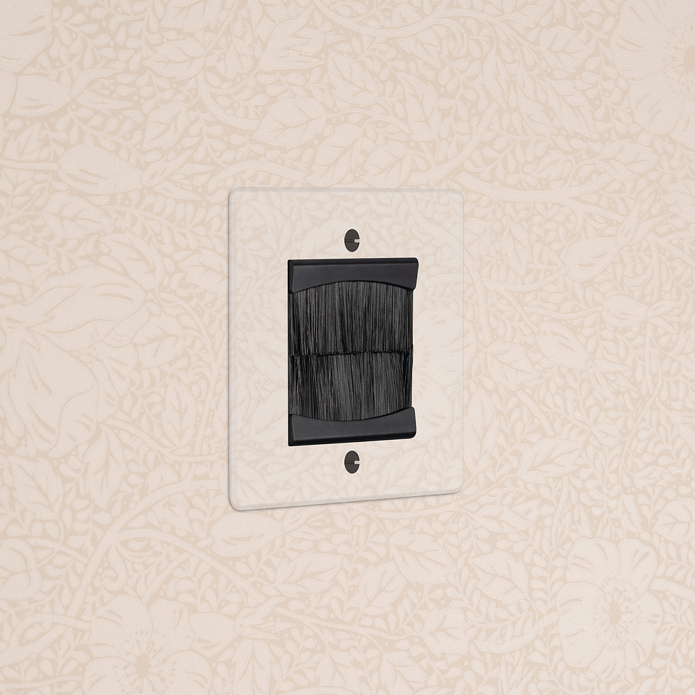 Single Brush Plate - Clear | Black