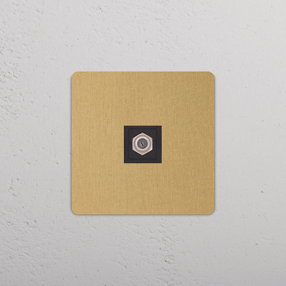 Grove Single Satellite Socket - Antique Brass | Black
